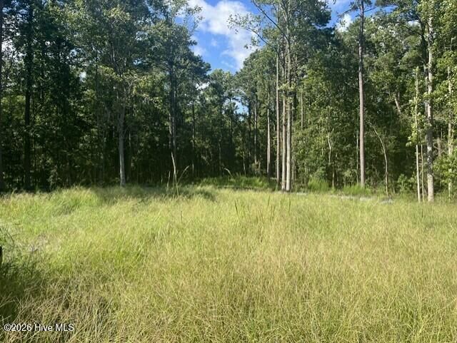 Property Photo: 306 33 Joans Ridge NC 28582
