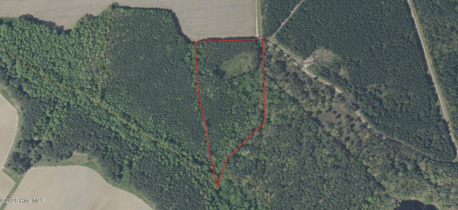 Property Photo: 141 Tall Cotton Road NC 27855