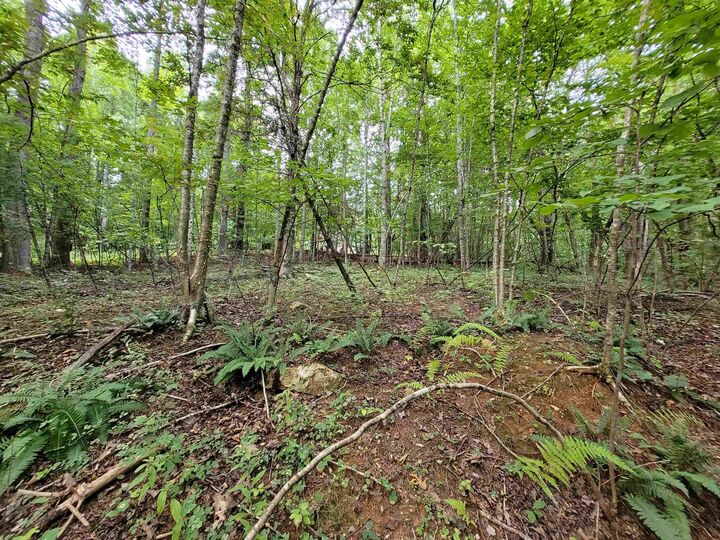 Property Photo:  Tbd Pin Oak Lane  VA 24079 