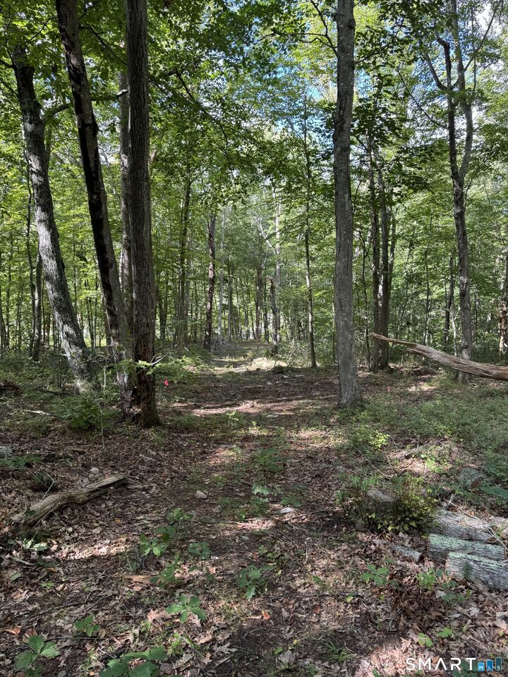 Property Photo:  Tater Hill Road  CT 06423 