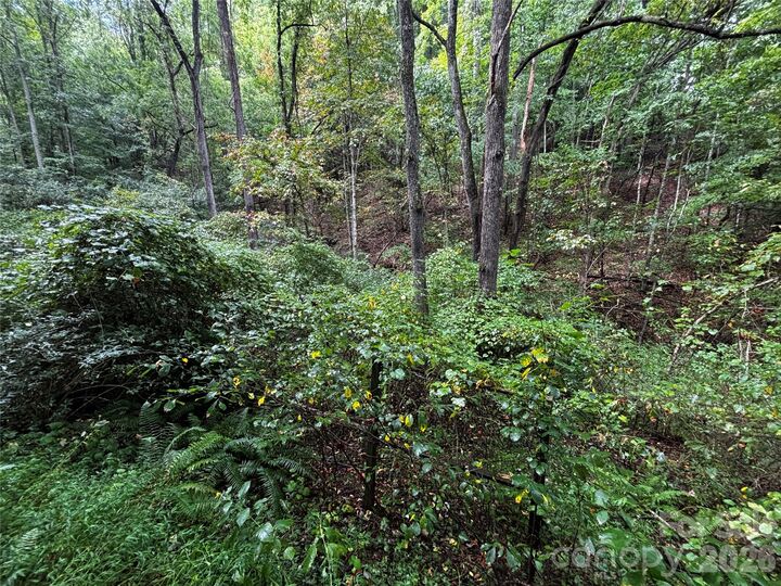 Property Photo:  Tbd Big Pine Road  NC 28753 