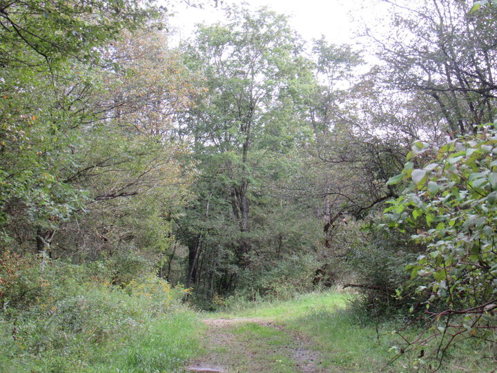 Property Photo:  Granville Rd  PA 15824 