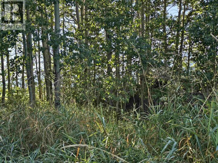 Property Photo:  3497 Jeck Road  BC V0J 2E0 