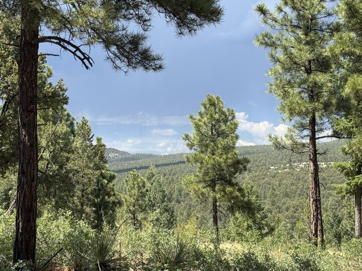 Property Photo: 21 Los Nidos Lane NM 87552