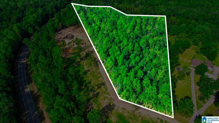 Property Photo:  0 County Road 138 0  AL 36507 