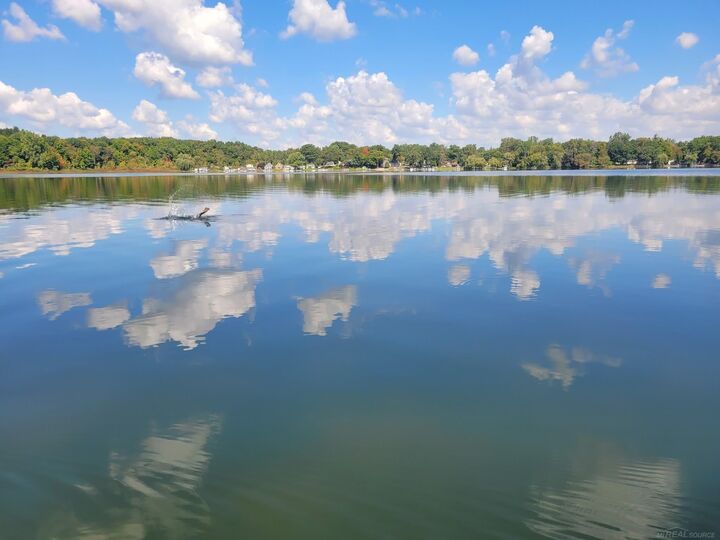 Property Photo:  4176 Pleasant Drive  MI 48412 