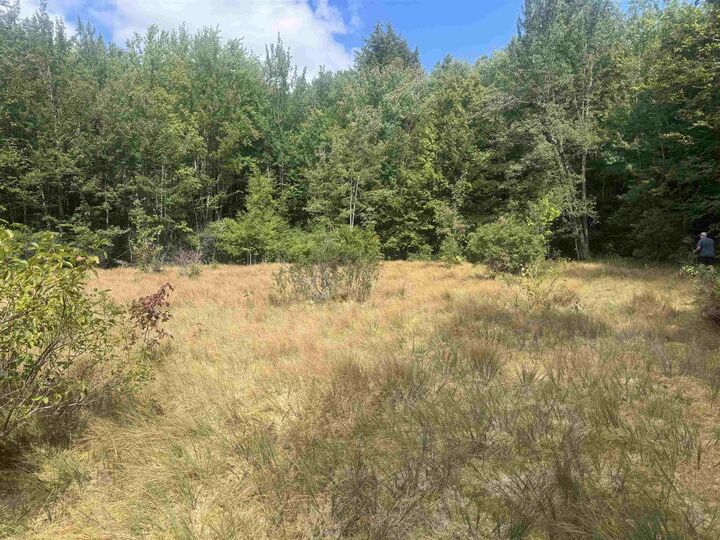 Property Photo: 600 Halls Pond Road NH 03601