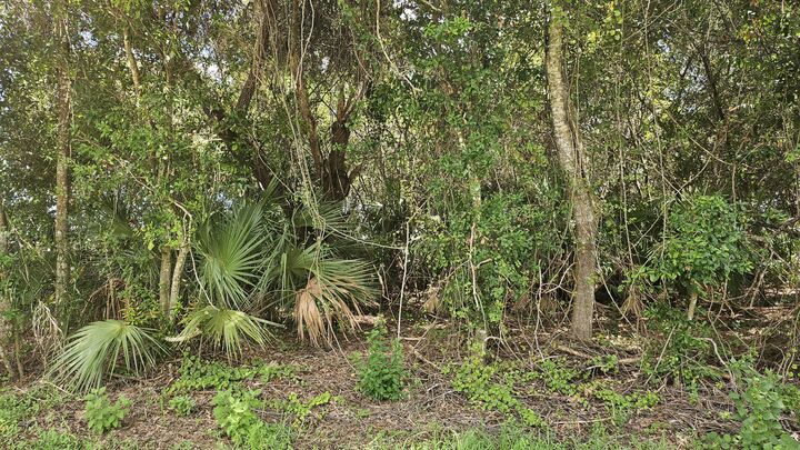 Property Photo:  1743 SW Day Street  FL 34953 
