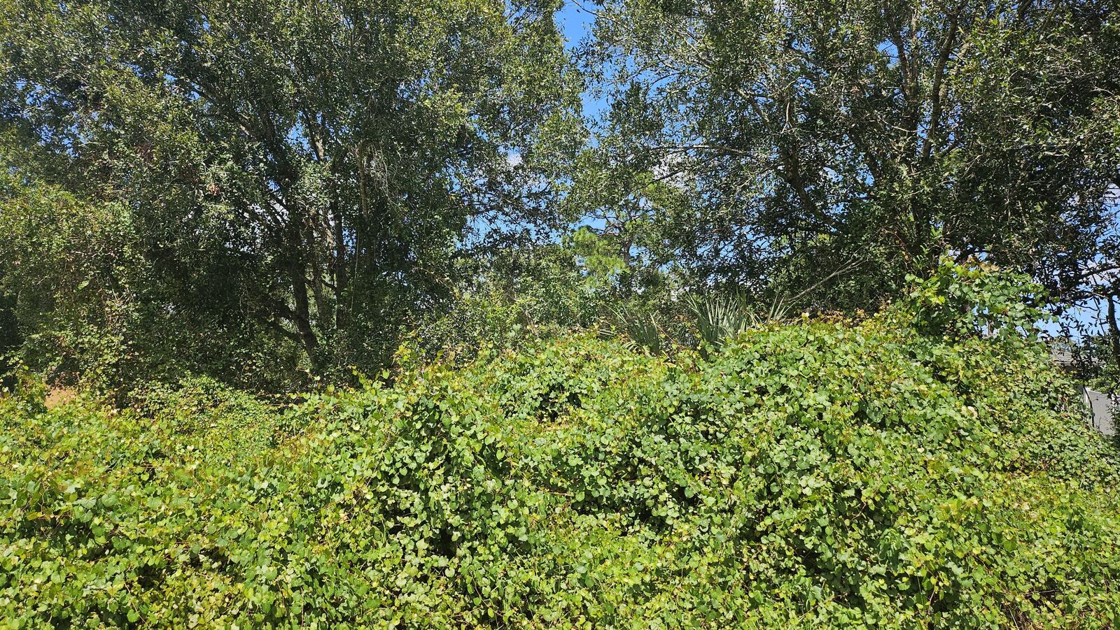Property Photo:  1785 SW Day Street  FL 34953 