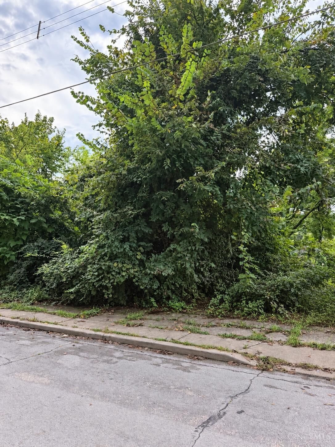 Property Photo:  1621 Tremont Street  OH 45214 