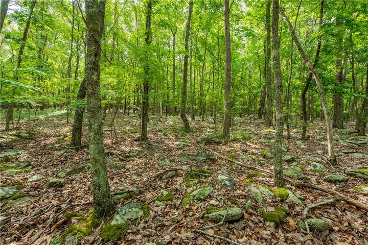 Property Photo:  307 Stonehaven Court  GA 30143 