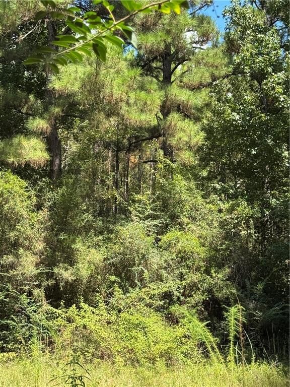 Property Photo:  1715 Lena Flatwoods Road  LA 71447 