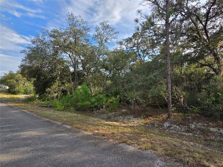 Property Photo: Fisher Way FL 32179
