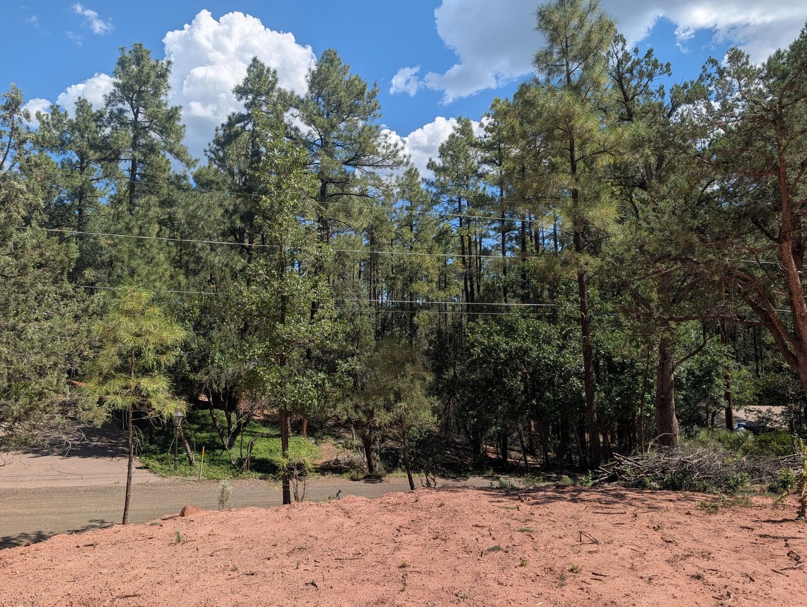 Property Photo:  Tbd Pine View Drive  AZ 85544 