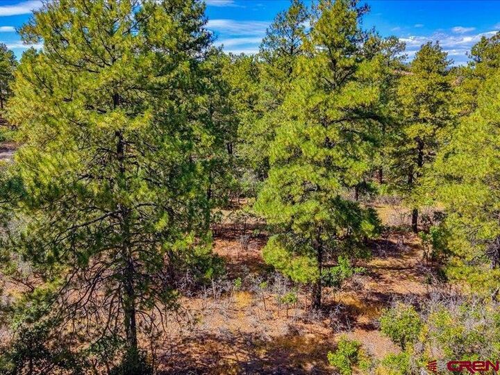 Property Photo:  876 Evergreen Drive  CO 81147 