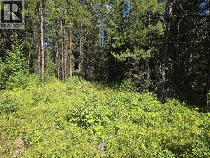 Property Photo:  3680 Miller Lake Fsr Forest  BC V0E 1W1 