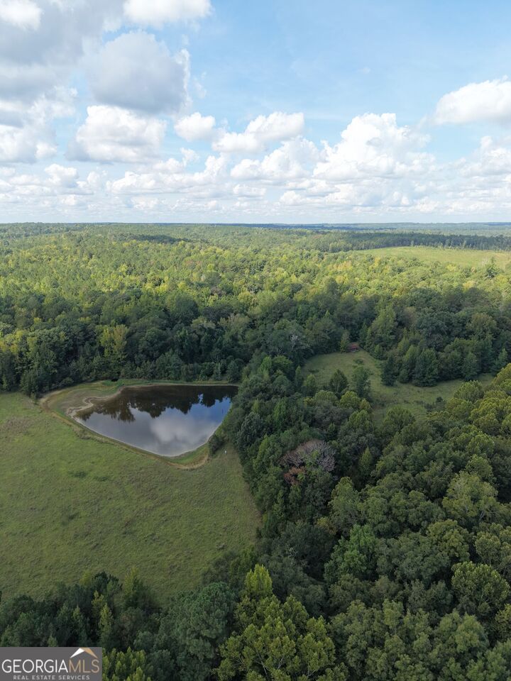 Property Photo:  8117 Linton Rd  GA 31087 