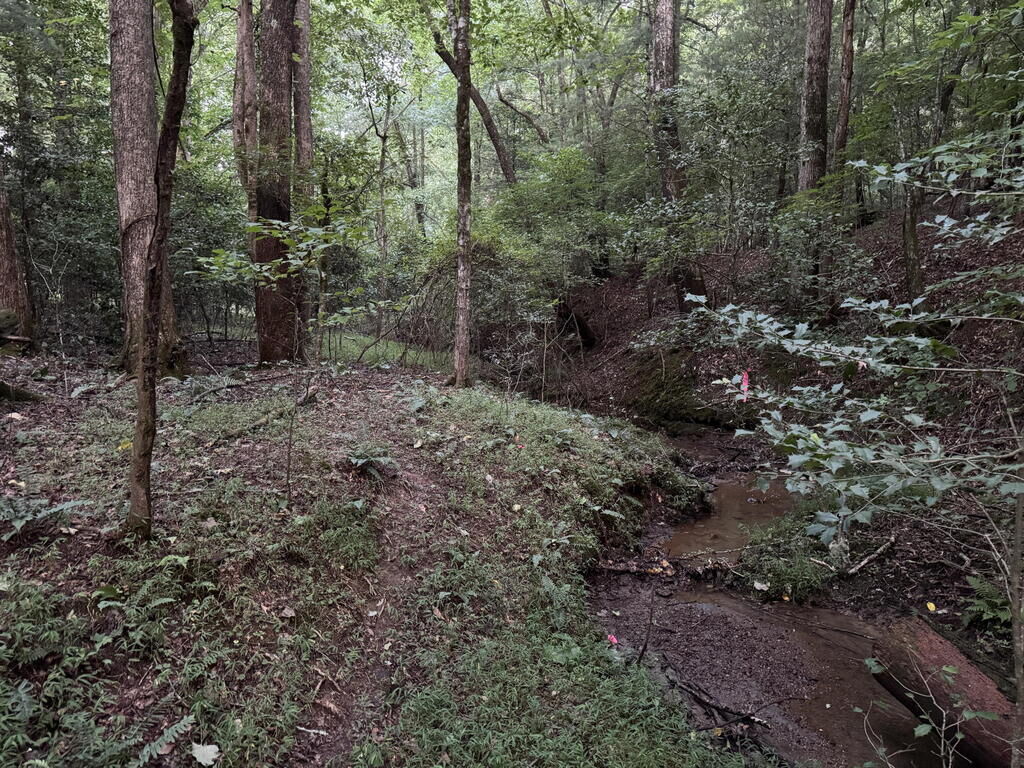 Property Photo: Lt35 Tr2 Scenic Drive NC 28904