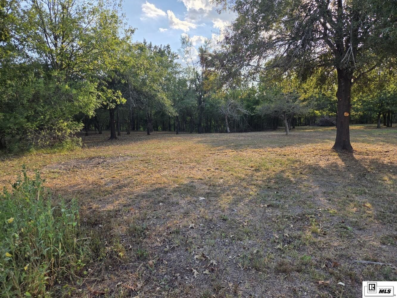 Property Photo: 0 Whitewood Road LA 71291