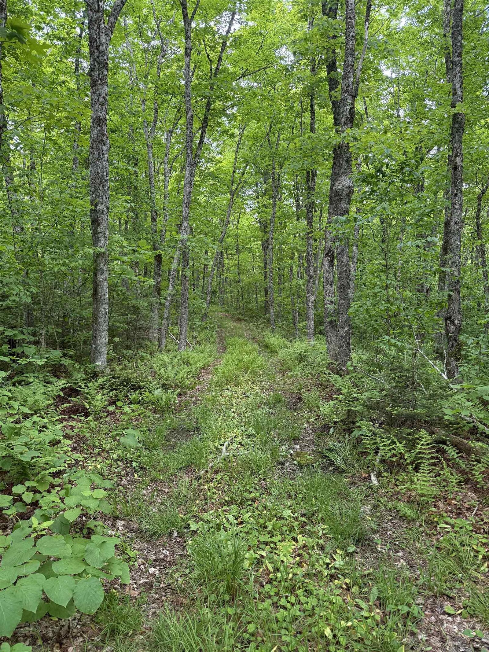Property Photo:  Lot (Pid 20098885) Truro Road  NS B0K 1V0 