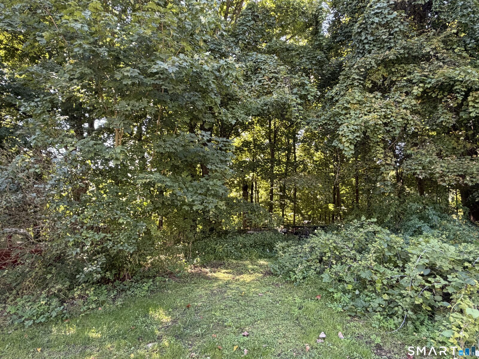 Property Photo:  684 Millville Avenue  CT 06770 