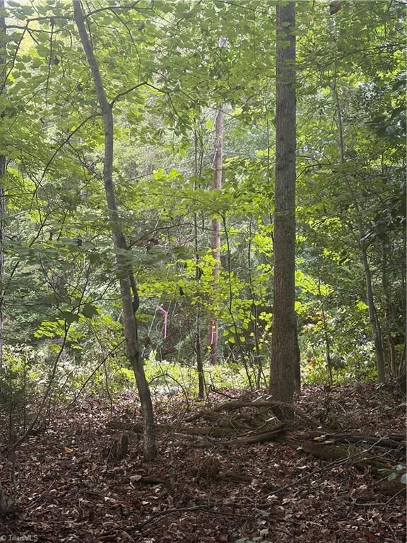 Property Photo:  Lot 5 Edgewood Road  NC 28697 