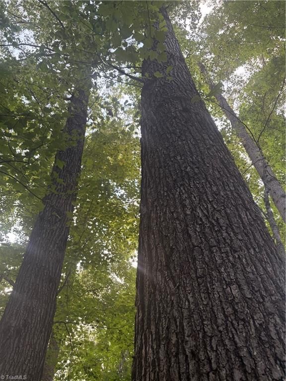 Property Photo:  Lot 3 Edgewood Road  NC 28697 