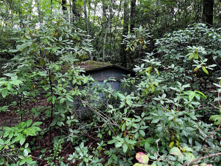 Property Photo:  462 Autumn Forest Drive  NC 28735 