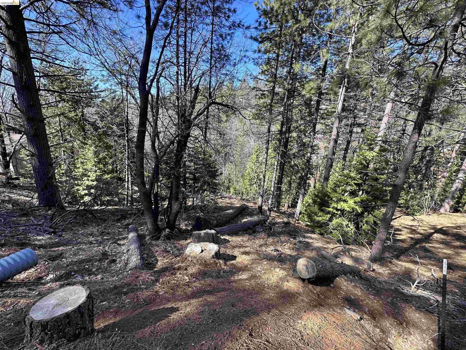 Property Photo: 23956 Stable Rd CA 95370