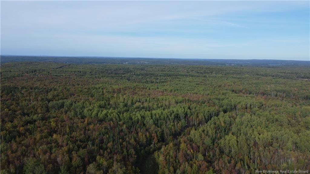 Property Photo:  Lot Donnelly Settlement Road  NB E6K 3N3 
