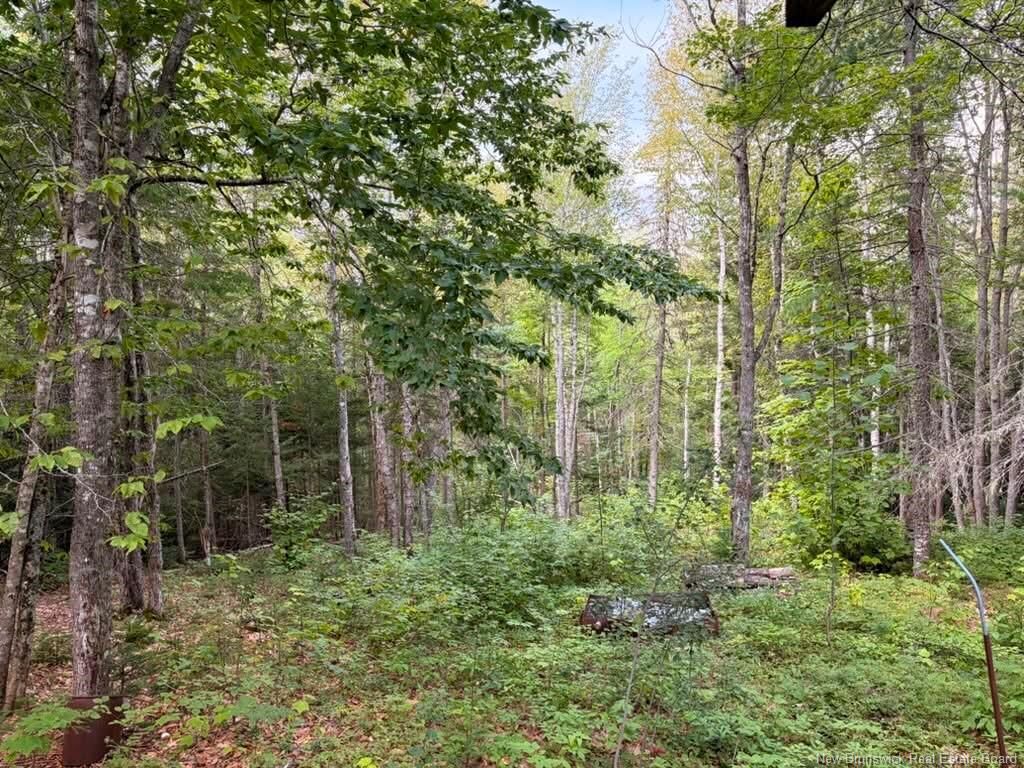 Property Photo:  Steeves Lot Green Road  NB E4T 1T6 