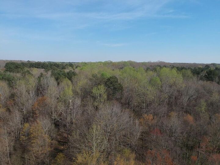 Property Photo: 0 Cobb Road GA 30014