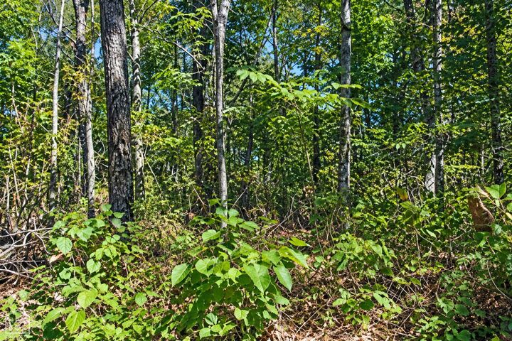 Property Photo: 21 Cooper Point AR 72560