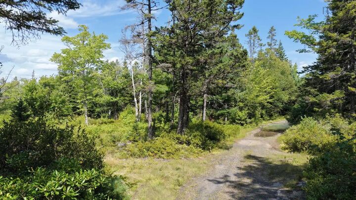 Property Photo:  Lot Ar Fishpeddlers Road  NS B0J 2X0 