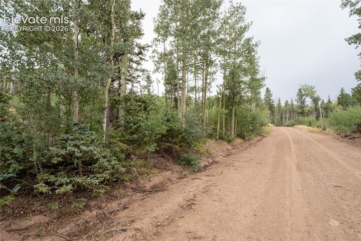 Property Photo:  Lot 2571 Andes Loop  CO 81133 