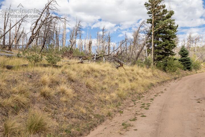 Property Photo:  Lot 2748 Grojean Drive  CO 81133 