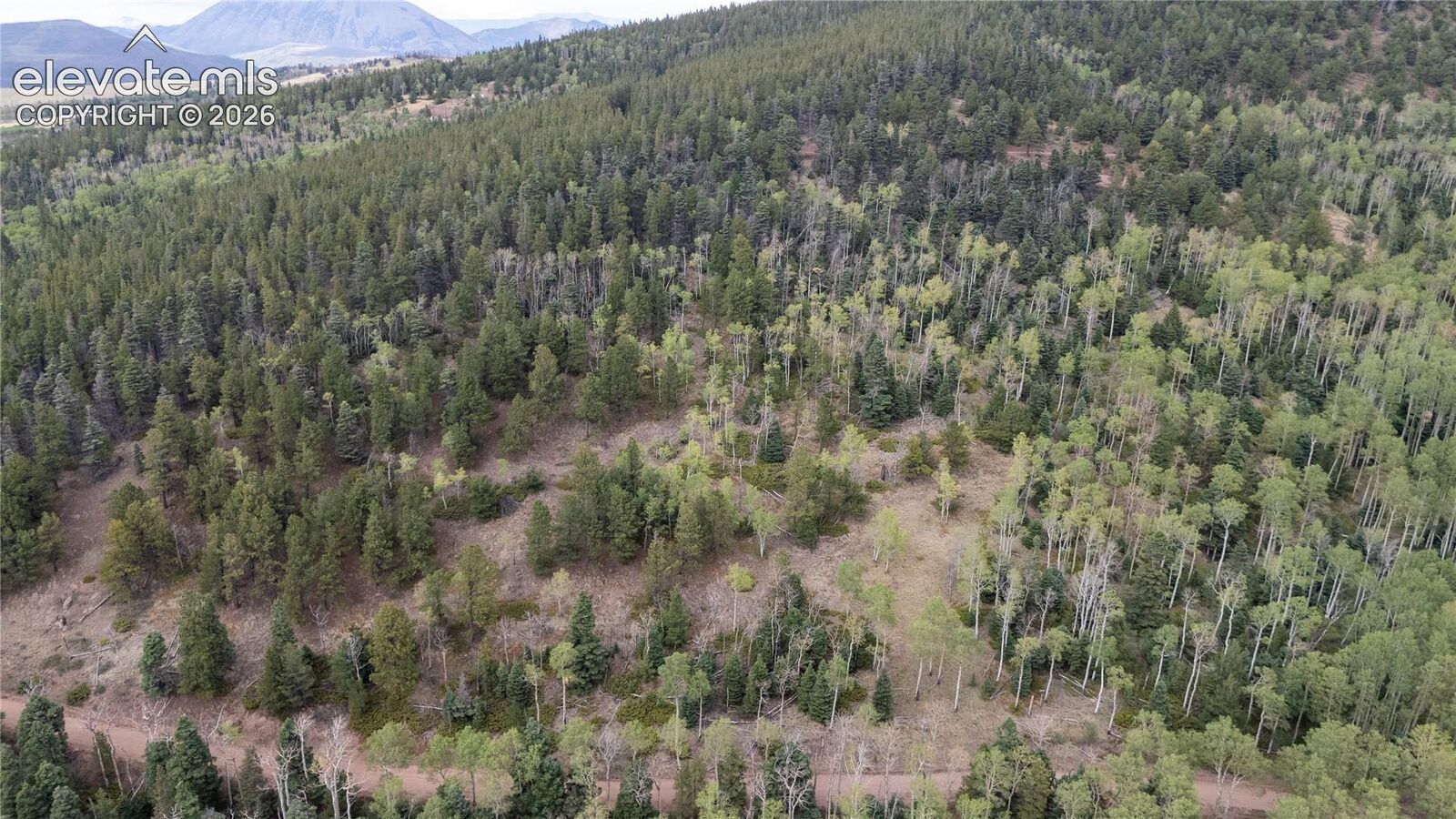 Property Photo:  Lot 2915 Henderson Drive  CO 81133 
