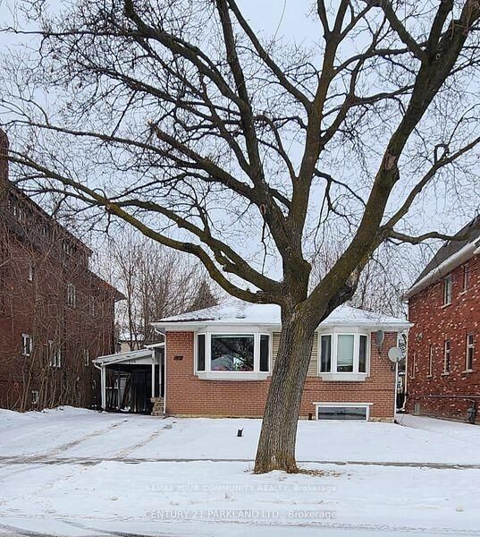 Property Photo:  114 Goulding Avenue Bsmt #1  ON M2M 1L4 