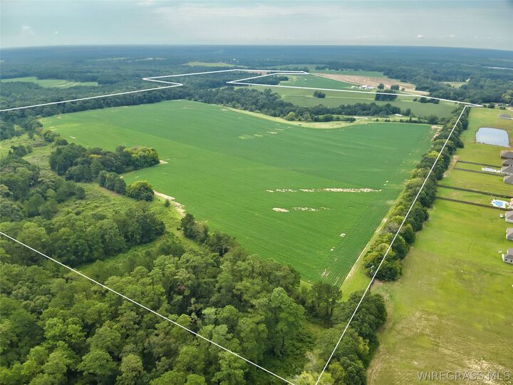 Property Photo:  282 Acres County Road 22  AL 36345 