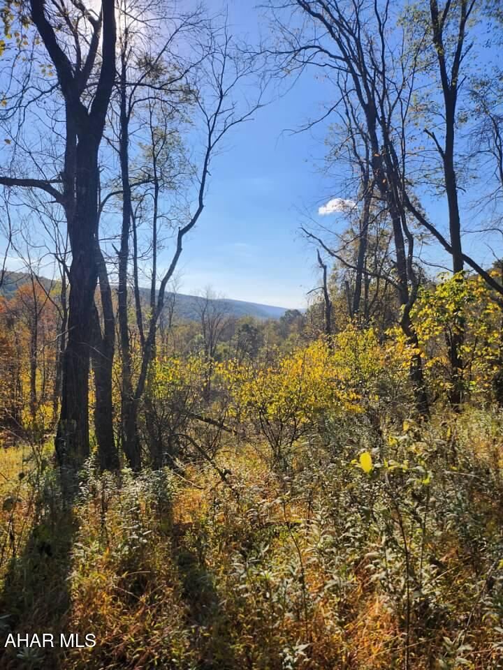 Property Photo: 0 Off Natures Symphony Road PA 16655