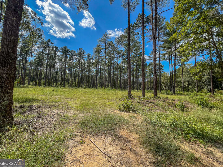 Property Photo: 0 Mark Wood Road Lot 7 GA 31019