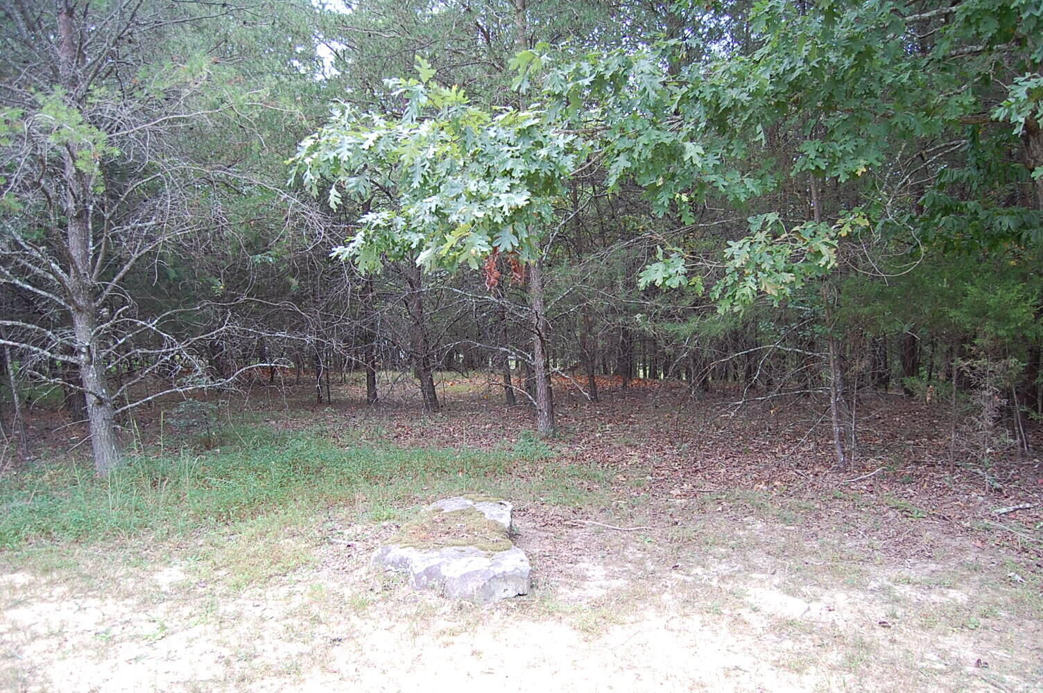 Property Photo: 36 Bluff View Drive TN 37327