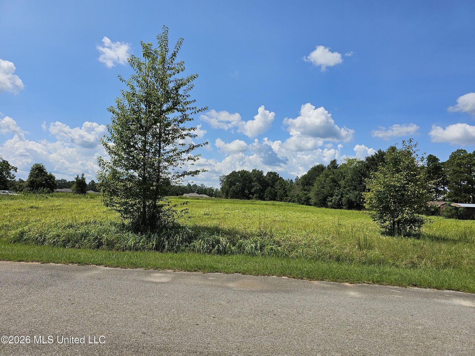 Property Photo:  Lot 4 Maci Lane  MS 39452 