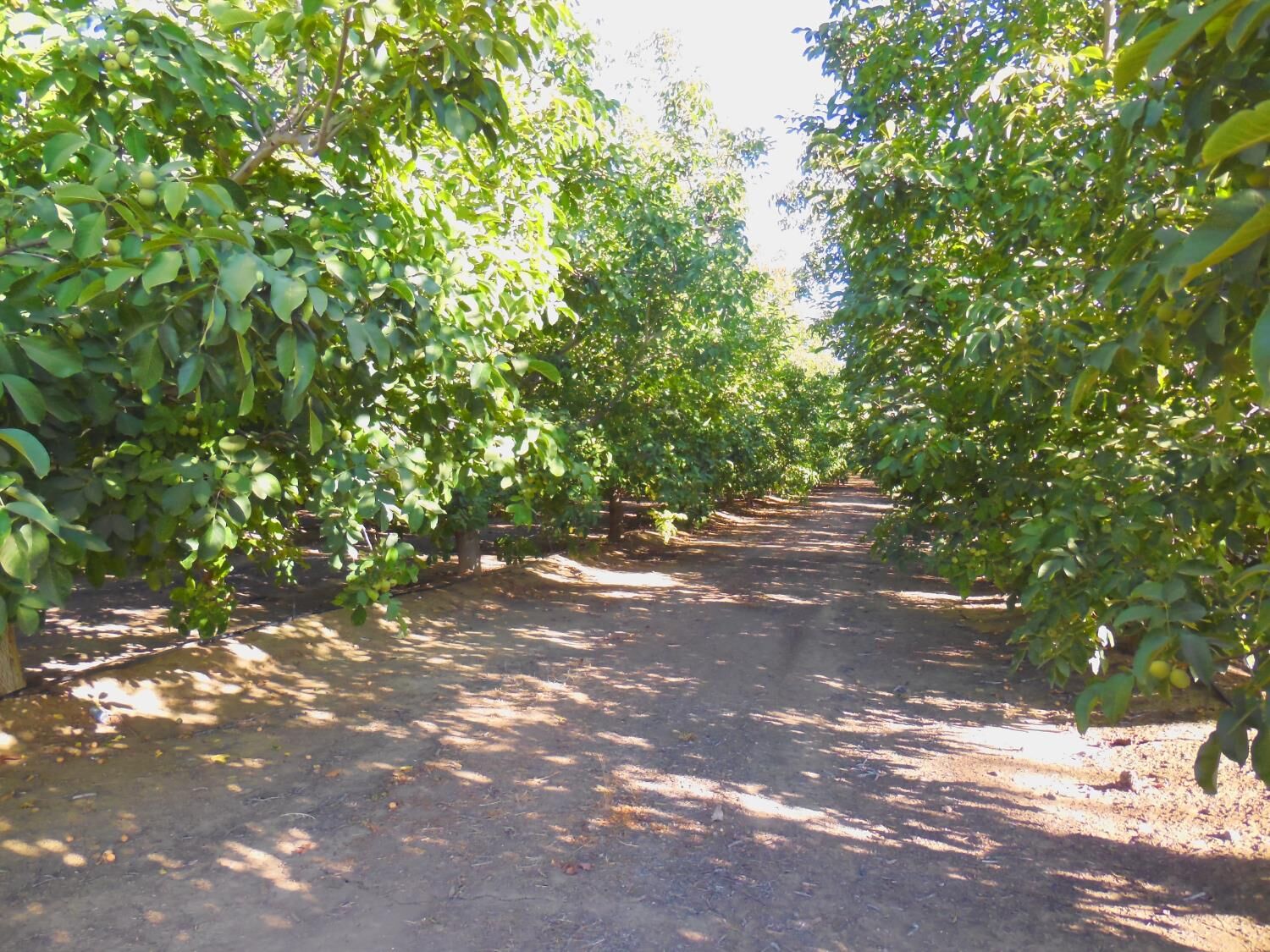 Property Photo: 0 Clark Road CA 95953