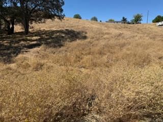Property Photo: 3487 Huckleberry Lane CA 95252