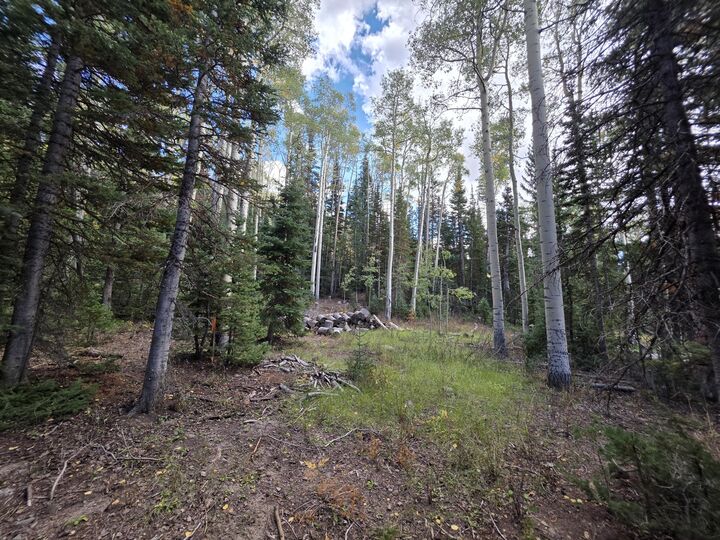 Property Photo: 214 E Deer Trail Rd UT 84719