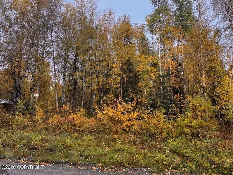 Property Photo:  12913 N Pettis Drive  AK 99688 