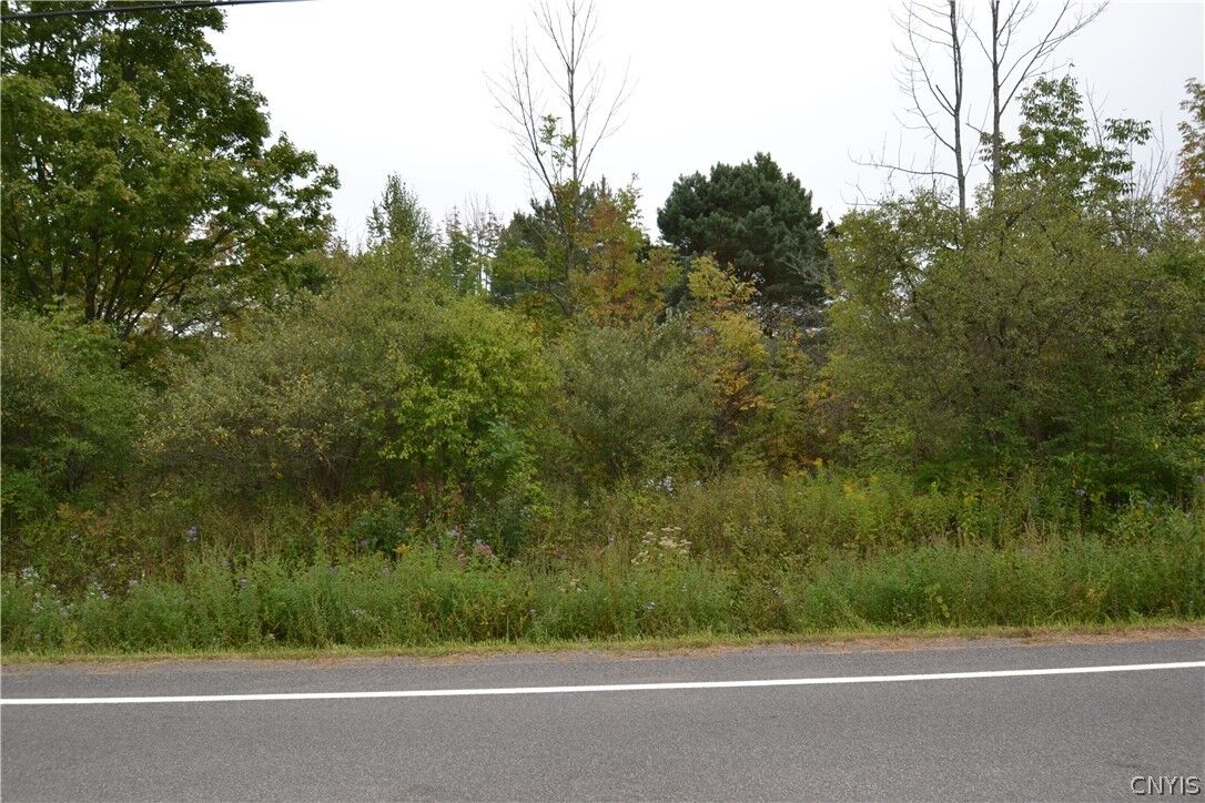 Property Photo: 00 Broadfield Rd NY 13138