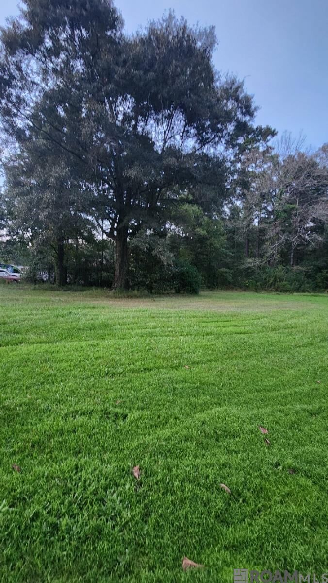 Property Photo:  35238 Curtis Dr  LA 70706 