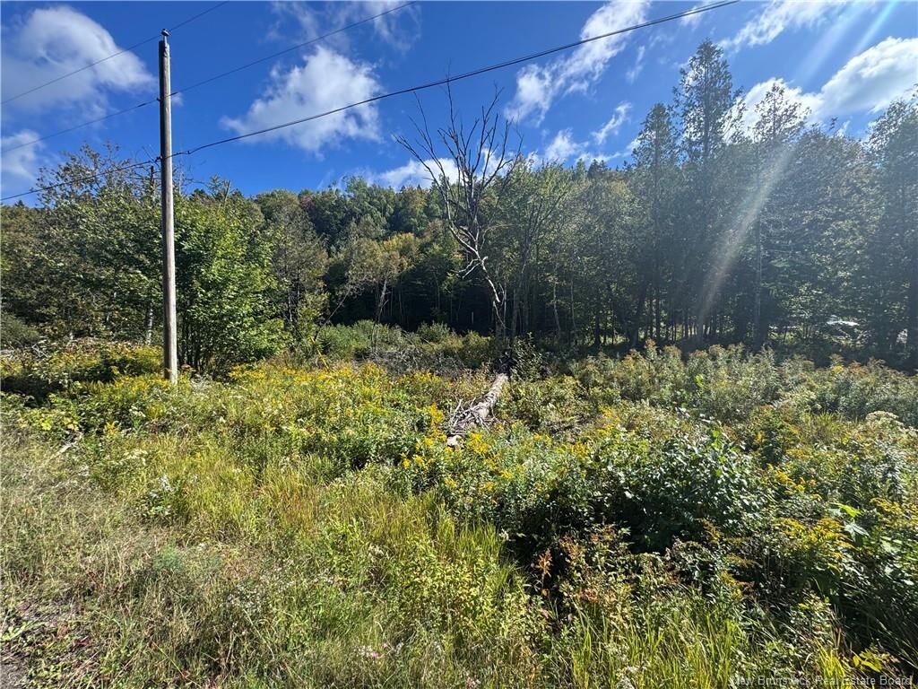 Property Photo:  - Frye Road  NB E5B 0C4 